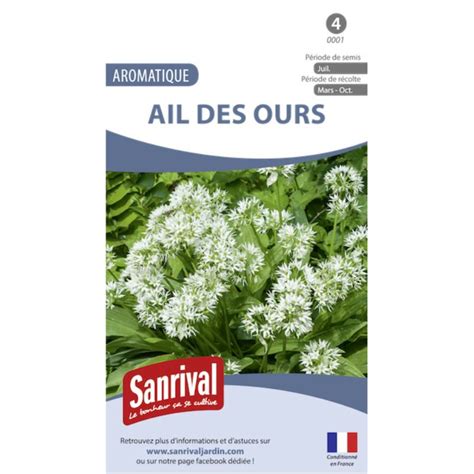 ail des ours truffaut